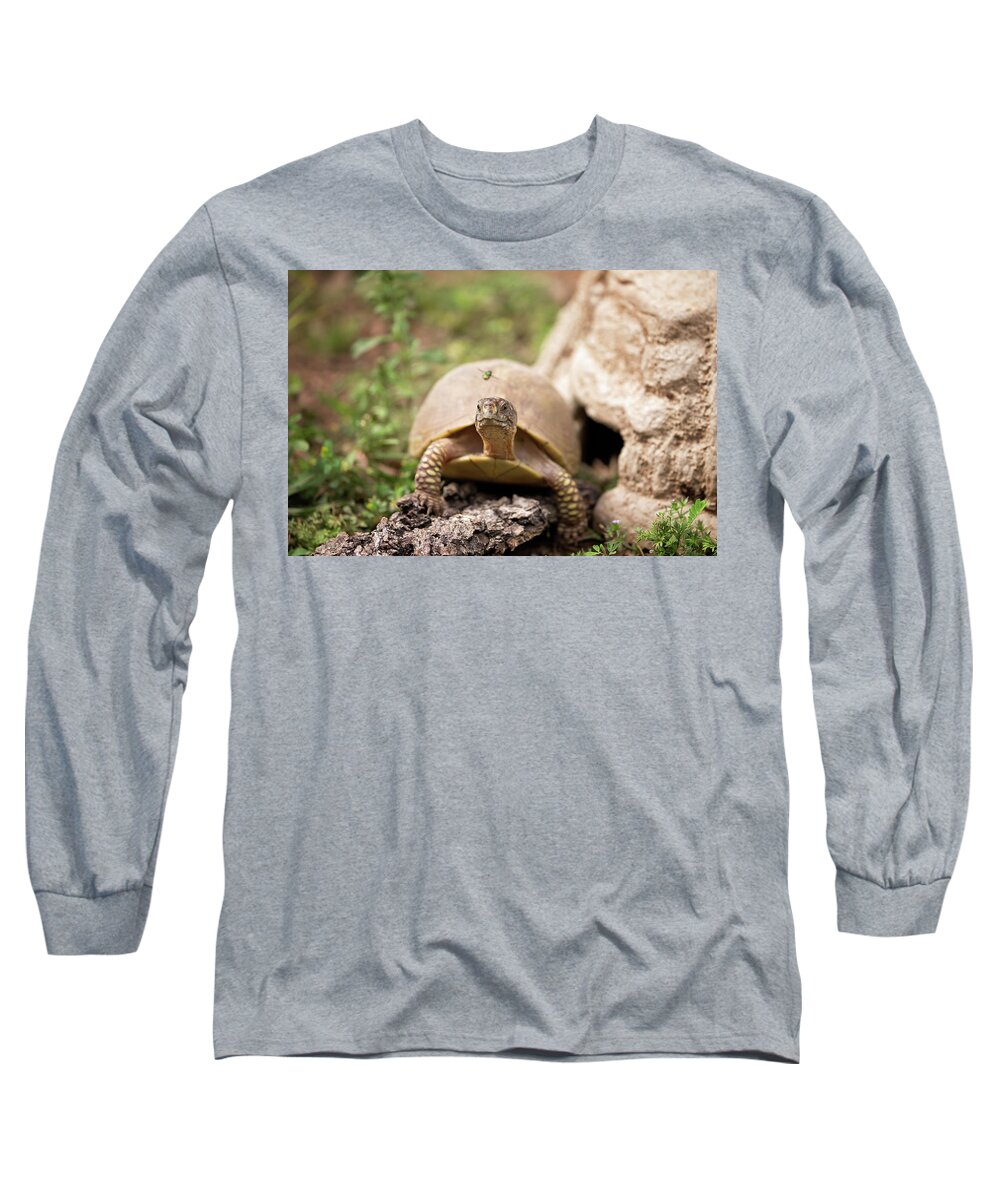 Turtle Long Sleeve T-Shirt featuring the photograph Fly By by Eilish Palmer