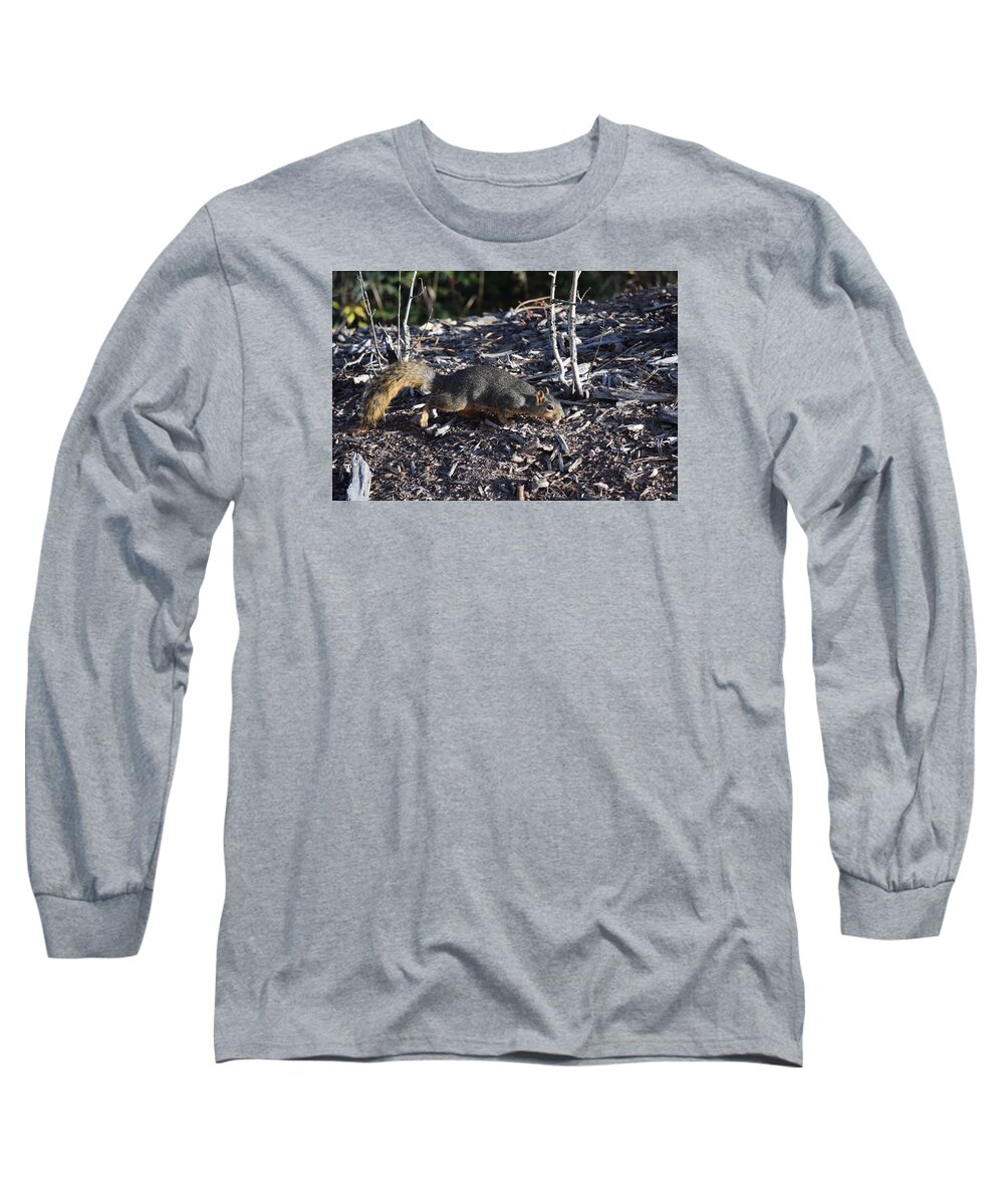 Animal Long Sleeve T-Shirt featuring the photograph Squirrel PPRH Woodland Park CO by Margarethe Binkley
