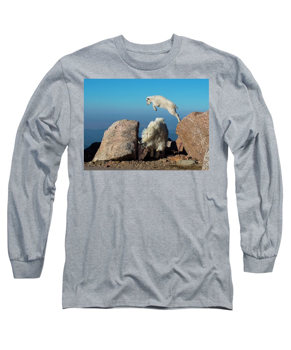 Mountain Goat Long Sleeve T-Shirt featuring the photograph Leaping baby mountain goat by Judi Dressler