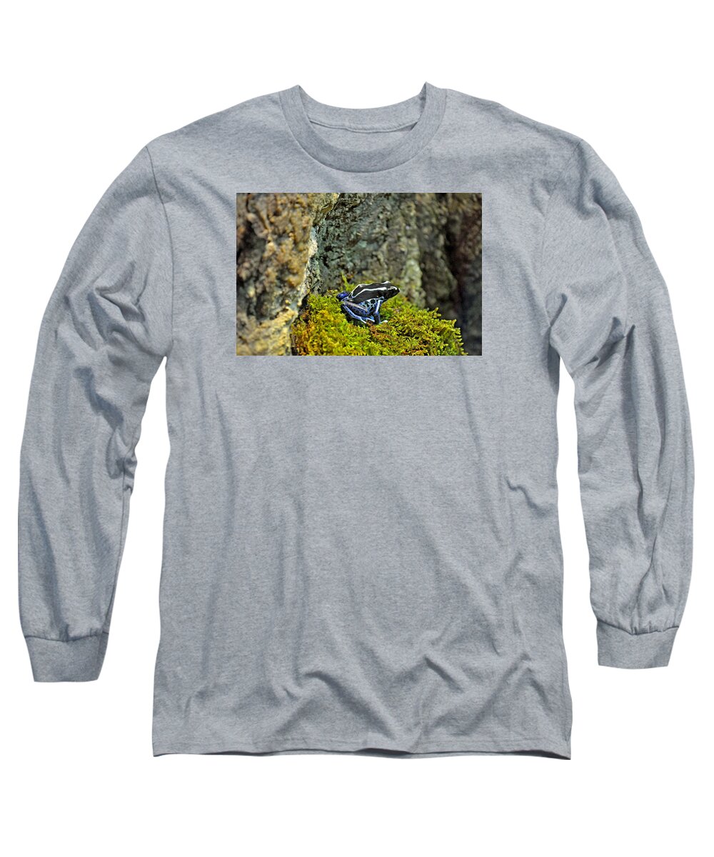 Frog Long Sleeve T-Shirt featuring the photograph Frogger by Donna Petersen