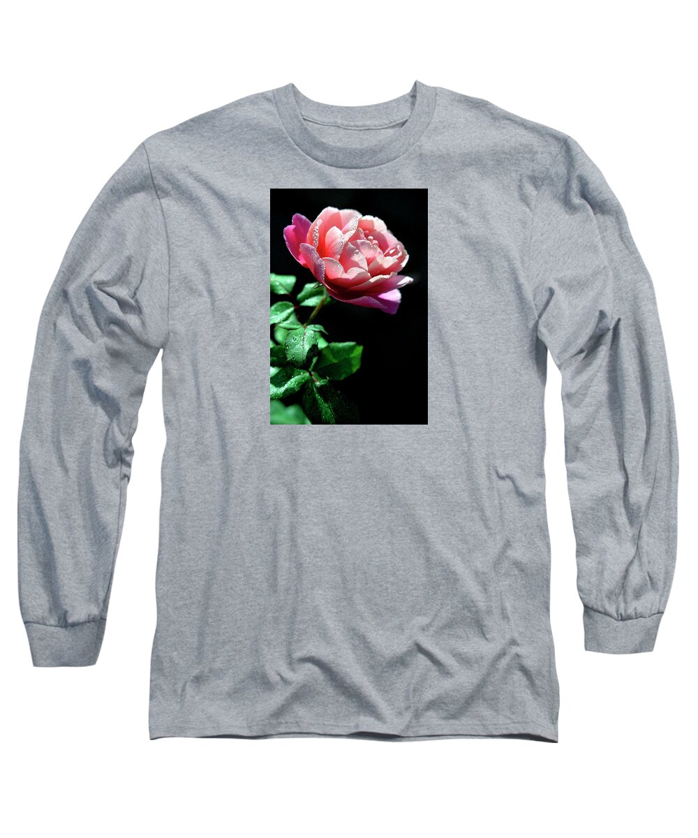 Jigsaw Long Sleeve T-Shirt featuring the photograph Frosted with Dew by Carole Gordon