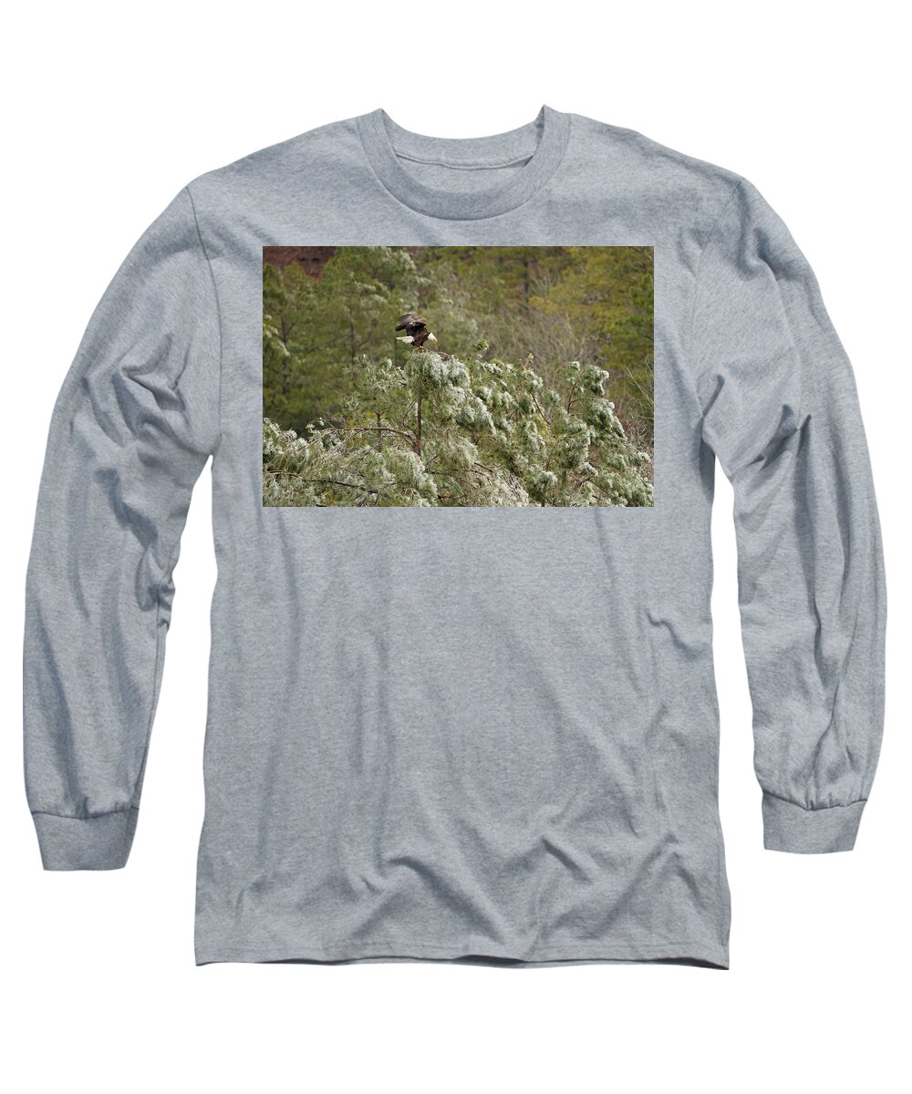 Bald Eagle Long Sleeve T-Shirt featuring the photograph Frozen Call by Eilish Palmer
