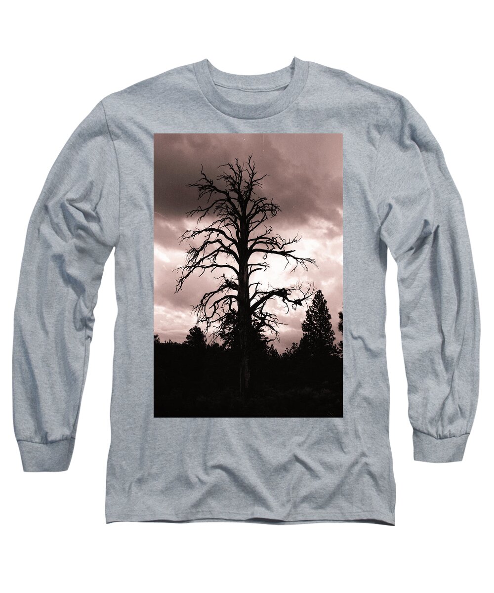 Preserved Tree Long Sleeve T-Shirt featuring the photograph Frozen in time by Imagery-at- Work