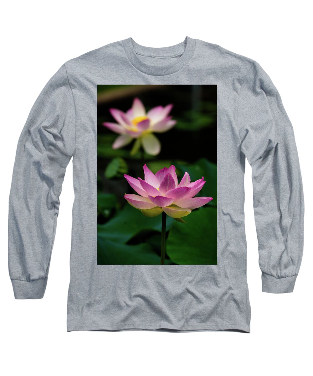 Bloom Long Sleeve T-Shirt featuring the photograph Full Blooming Dual Lotus Lilies by Dennis Dame