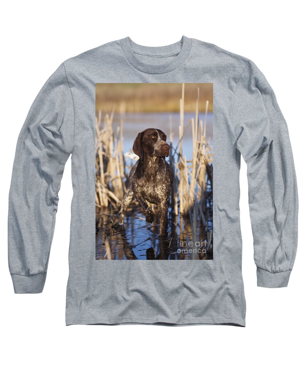 Gsp Long Sleeve T-Shirt featuring the photograph German Shorthair On Point - D000897 by Daniel Dempster
