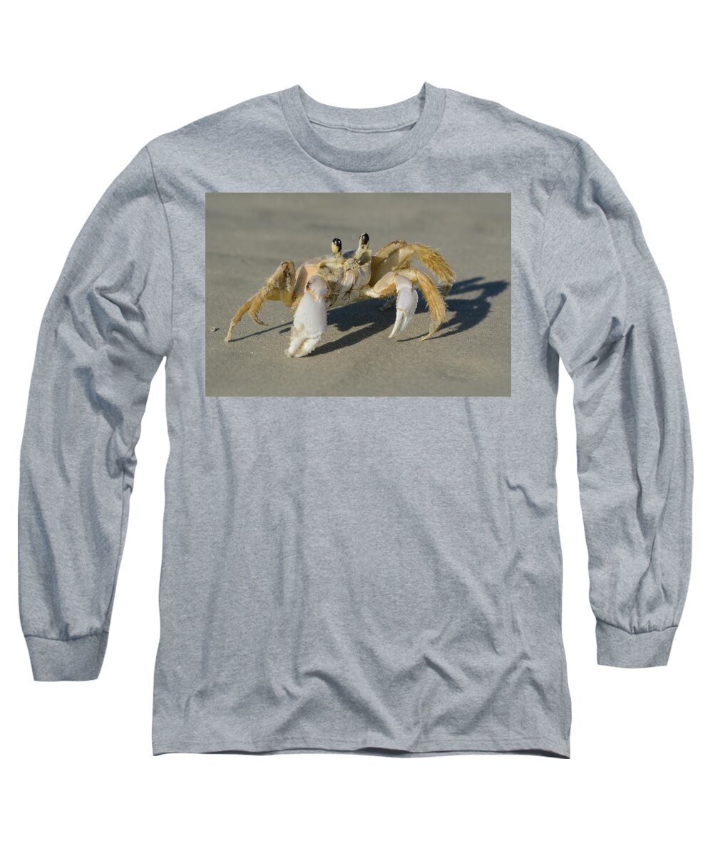 Ghost Crab Long Sleeve T-Shirt featuring the photograph Ghost Crab by Bradford Martin
