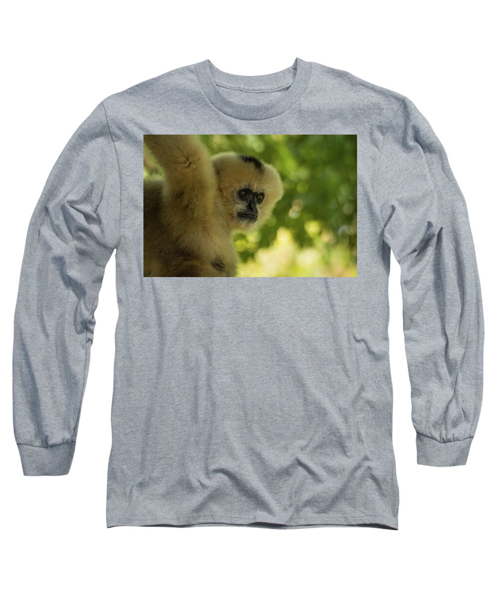 Zoo Long Sleeve T-Shirt featuring the photograph Gibbon Portrait by John Benedict