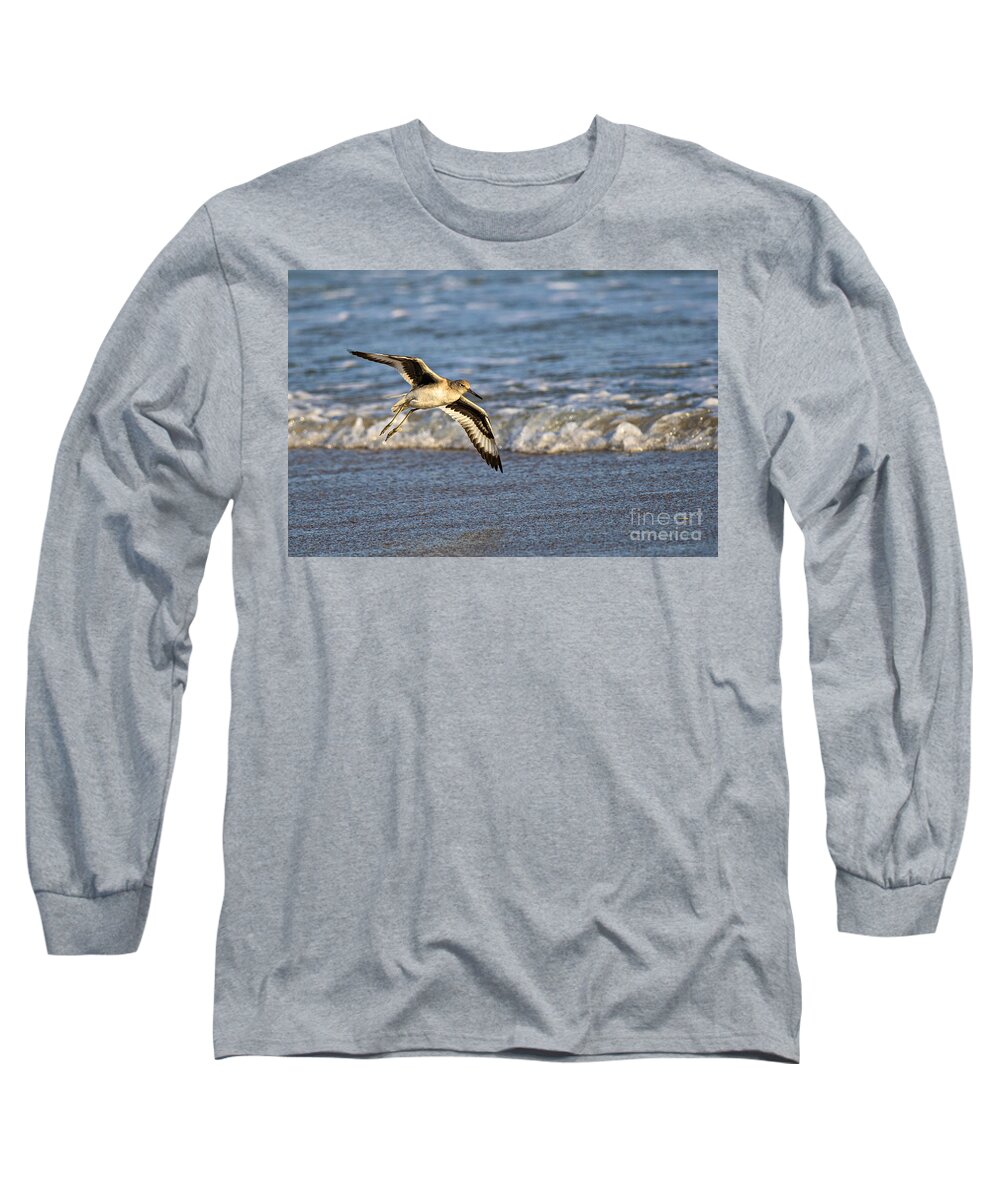 Willet Long Sleeve T-Shirt featuring the photograph Glide by DJA Images