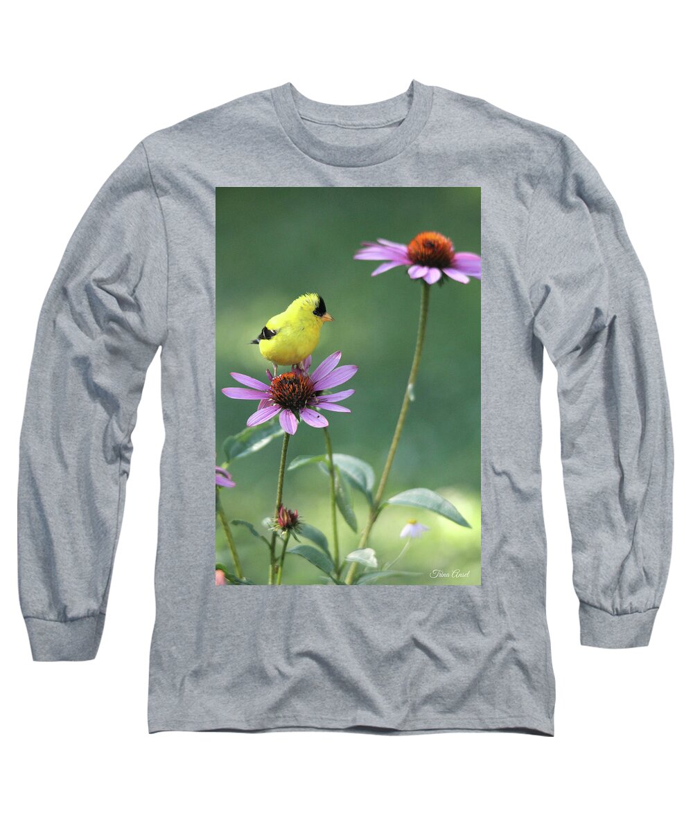American Goldfinch Long Sleeve T-Shirt featuring the photograph Goldfinch on a Coneflower by Trina Ansel