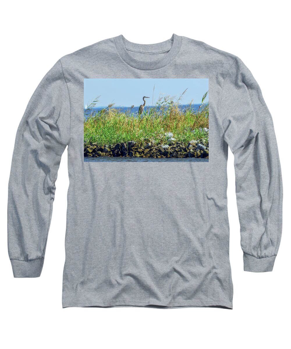 Ardea Herodias Long Sleeve T-Shirt featuring the photograph Great Blue Heron on jetty by Patrick Wolf