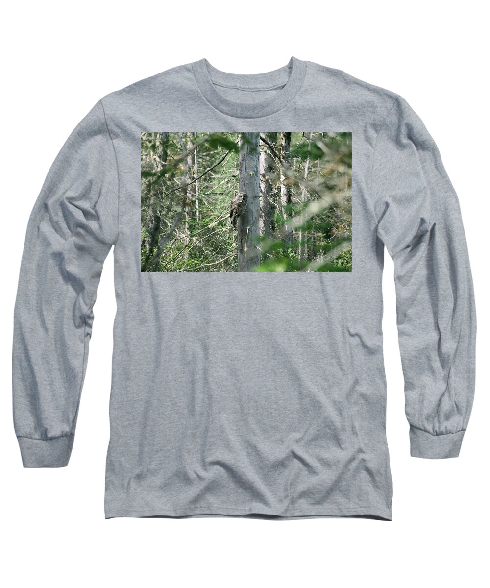 Great Grey Owl Long Sleeve T-Shirt featuring the photograph Great Grey Owl by David Porteus