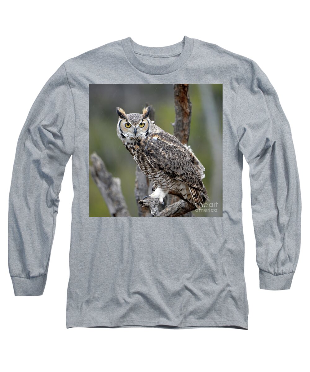 Denise Bruchman Long Sleeve T-Shirt featuring the photograph Great Horned Owl by Denise Bruchman