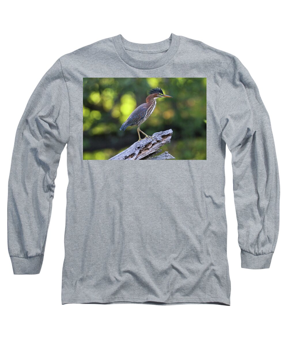 Green Heron Long Sleeve T-Shirt featuring the photograph Green Heron Stump by Brook Burling