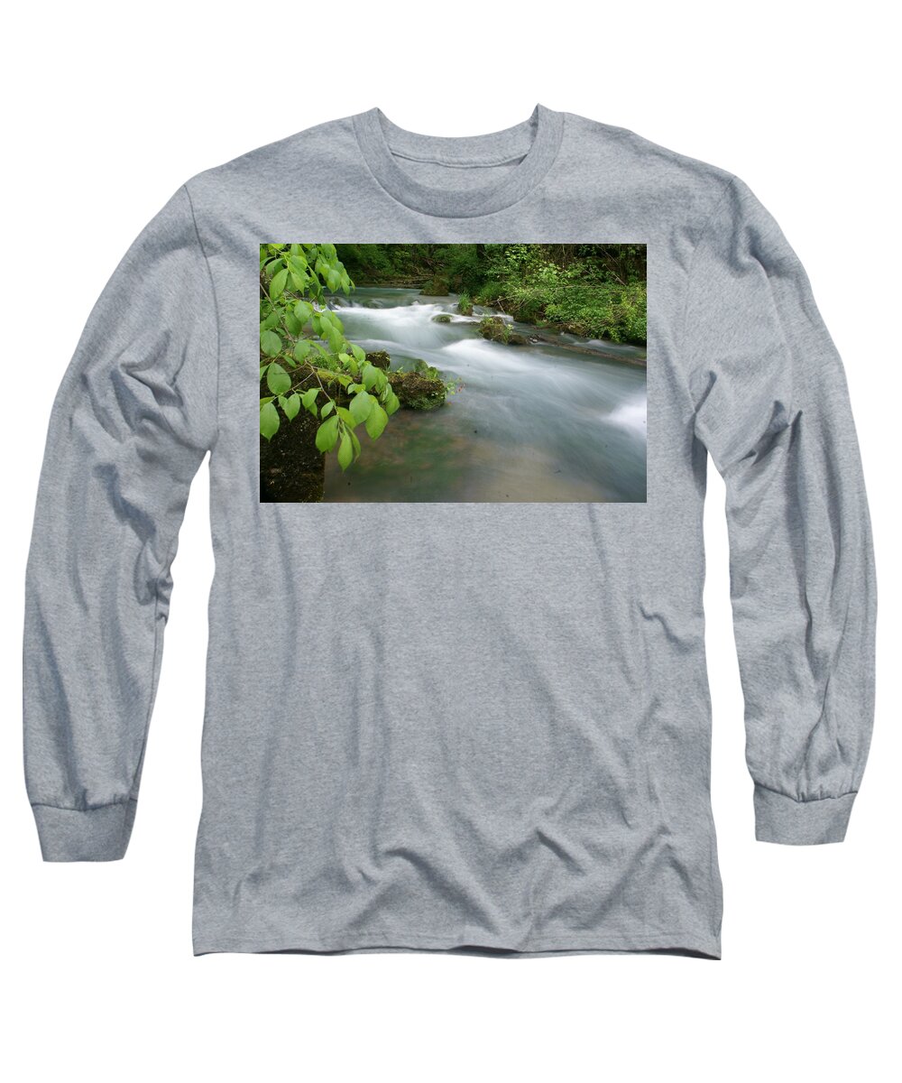 Greer Spring Long Sleeve T-Shirt featuring the photograph Greer Spring Branch 2 by Marty Koch