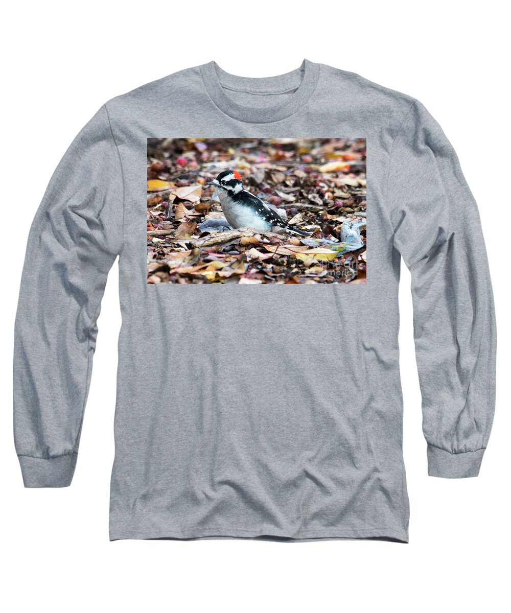 Hairy Woodpecker Long Sleeve T-Shirt featuring the photograph Hairy Woodpecker by Michael Dawson