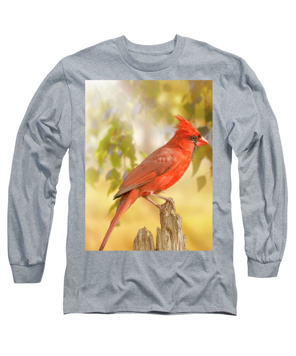Bird Long Sleeve T-Shirt featuring the photograph Happy Morning Redbird by Bill and Linda Tiepelman