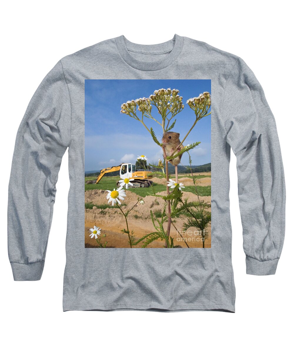 Eurasian Harvest Mouse Long Sleeve T-Shirt featuring the photograph Harvest Mouse And Backhoe by Jean-Louis Klein & Marie-Luce Hubert