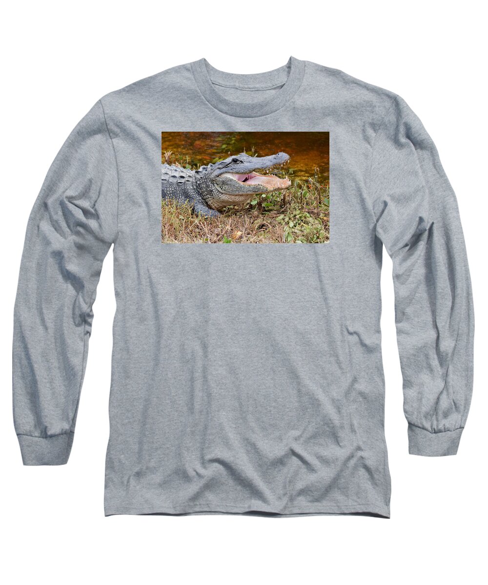 Alligator Long Sleeve T-Shirt featuring the photograph Heating and Cooling by Jim Bennight
