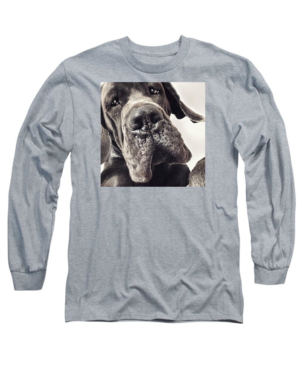 Dog Long Sleeve T-Shirt featuring the photograph Hello by Seven Pictures