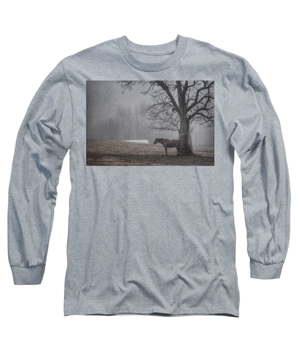 Horse Long Sleeve T-Shirt featuring the photograph Horse and Tree by Sumoflam Photography