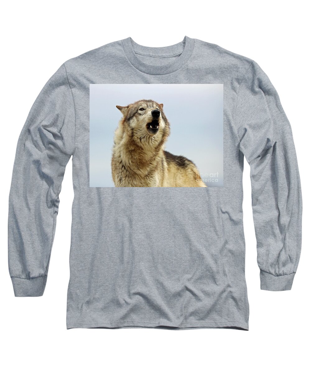 Wolves Long Sleeve T-Shirt featuring the photograph Howling Wolf by Steve Gass