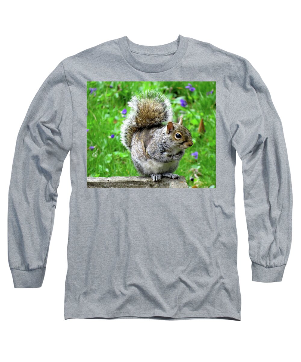 Eastern Grey Squirrels Long Sleeve T-Shirt featuring the photograph Humble Squirrel by Linda Stern