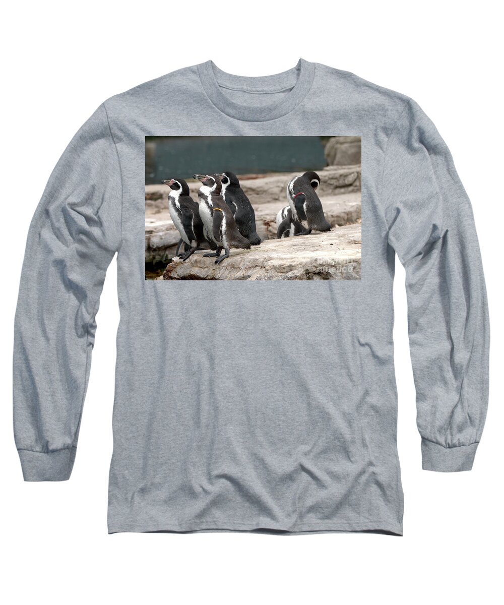 Bird Long Sleeve T-Shirt featuring the photograph Humboldt Penguins by Baggieoldboy