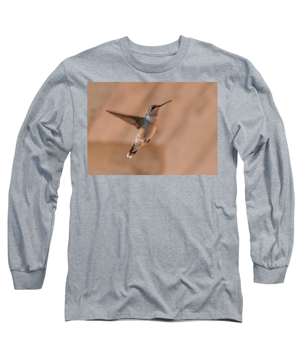 Hummingbird Long Sleeve T-Shirt featuring the photograph Hummingbird In Flight by Holden The Moment