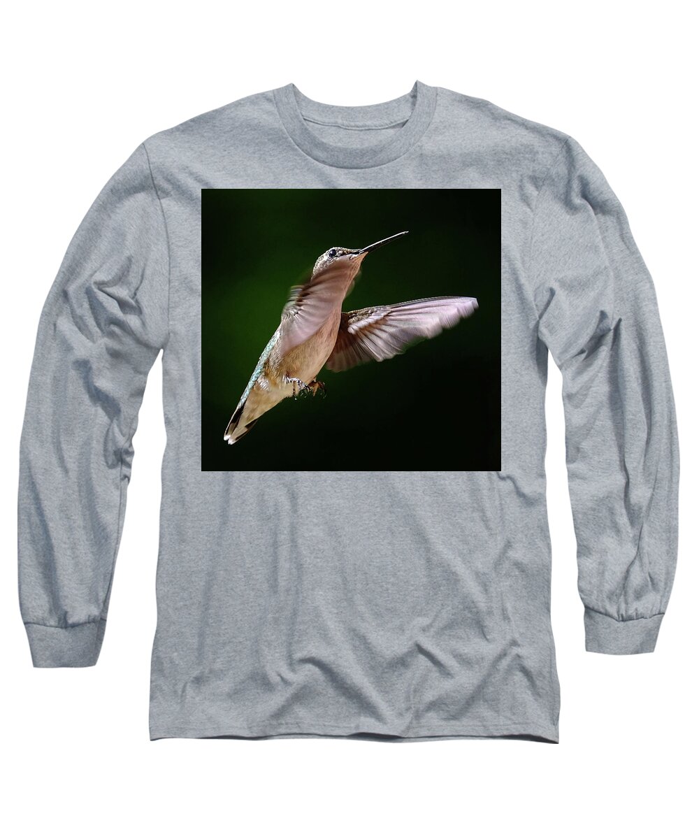 Hummingbird Long Sleeve T-Shirt featuring the photograph Hummingbird in flight by Ronda Ryan