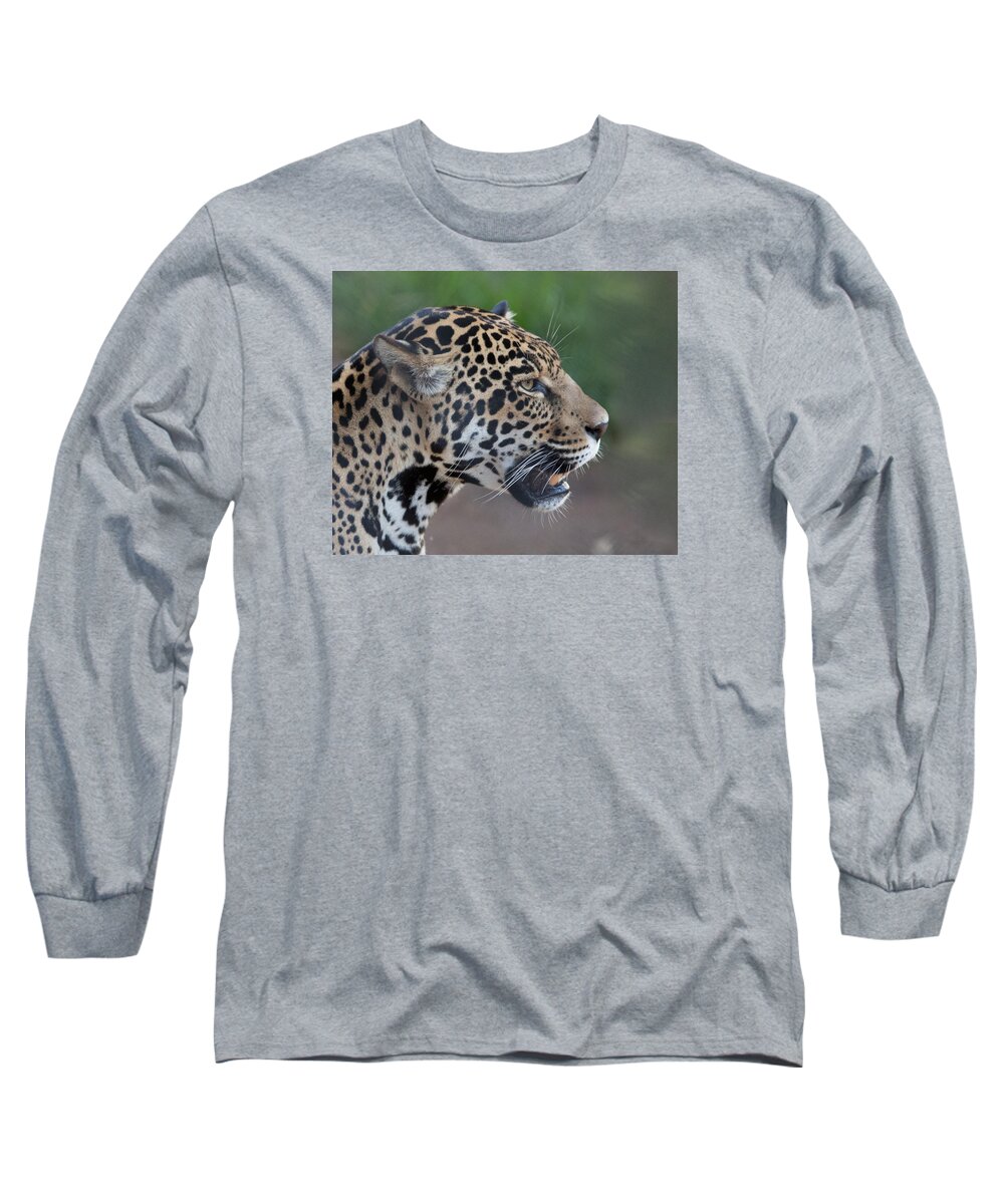Tiger Long Sleeve T-Shirt featuring the photograph I am not happy by Vance Bell