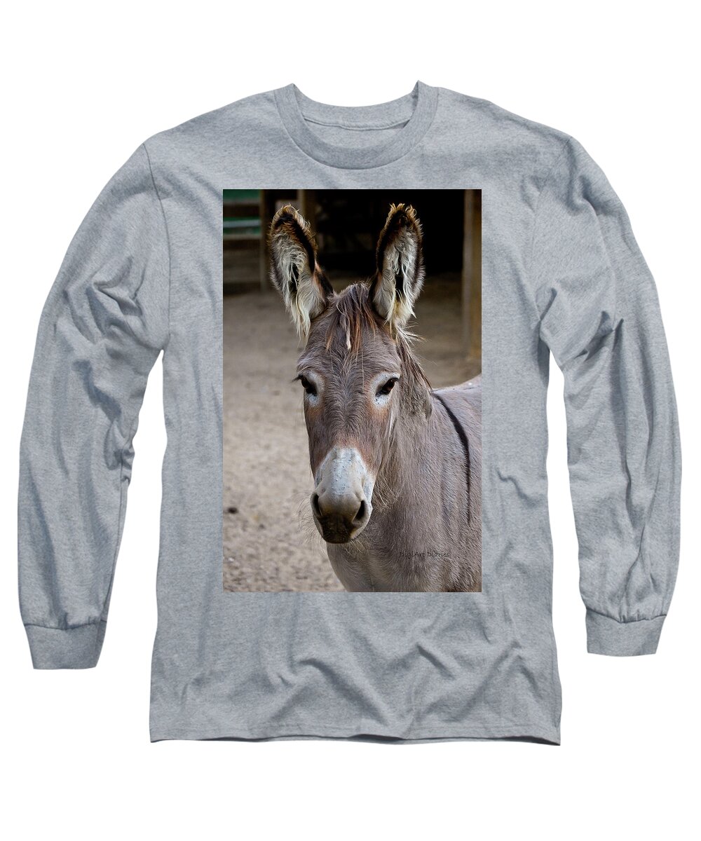 Donkey Long Sleeve T-Shirt featuring the photograph I Assked You a Question by DigiArt Diaries by Vicky B Fuller