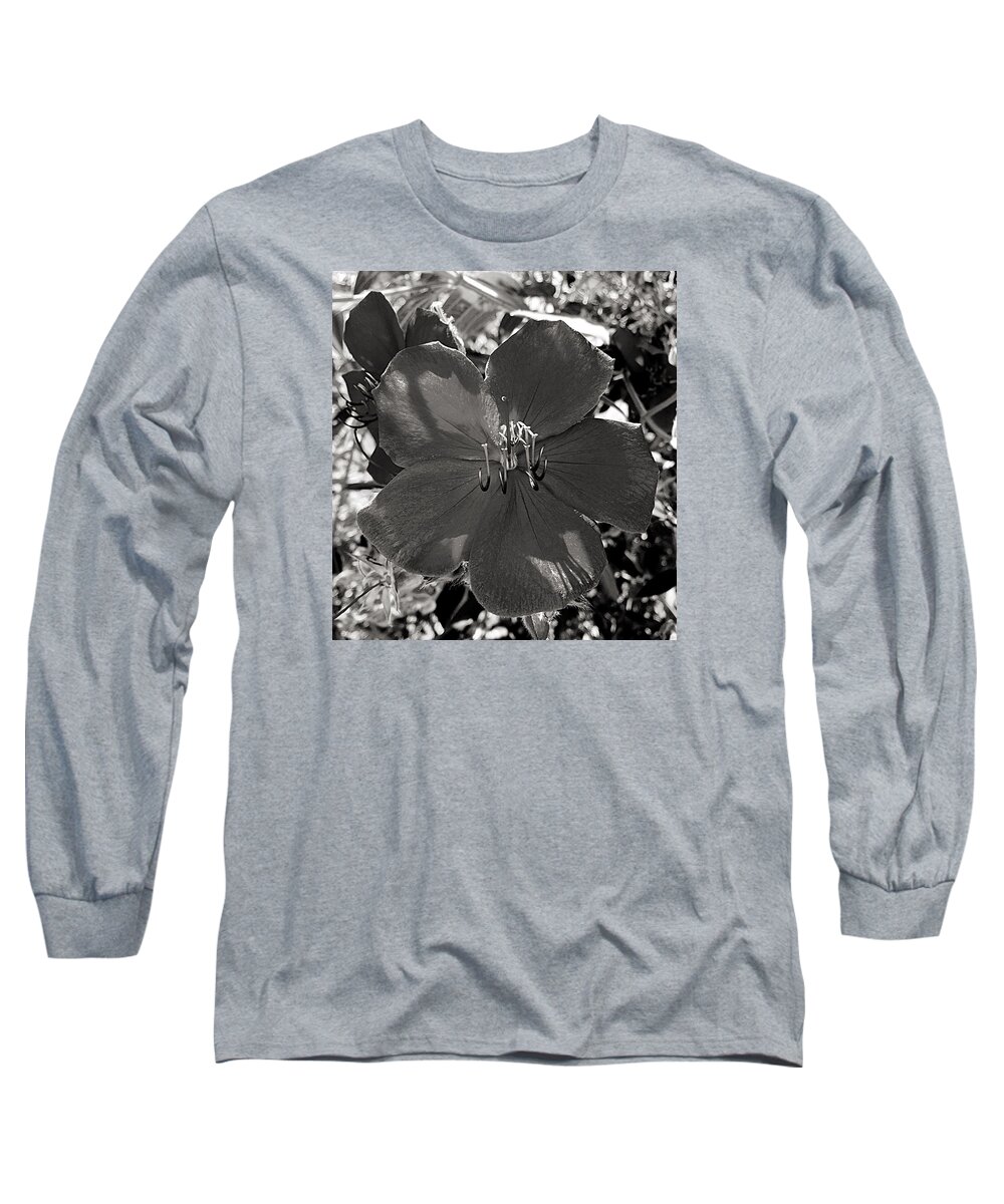 Flower Long Sleeve T-Shirt featuring the photograph I Was Purple by Brad Hodges