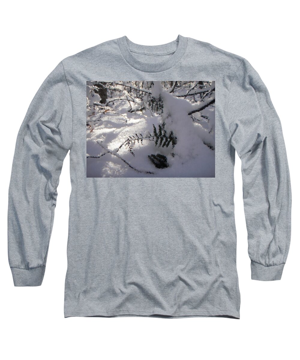 Winter Long Sleeve T-Shirt featuring the photograph Icy Fern by Nicole Angell