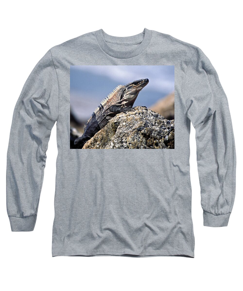 Iguana Long Sleeve T-Shirt featuring the photograph Iguana by Sally Weigand