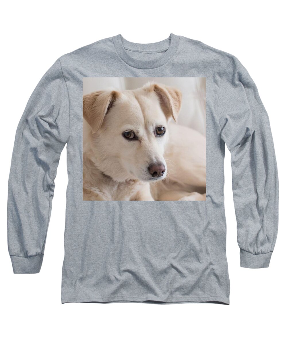 Arizona Long Sleeve T-Shirt featuring the photograph Jasmine White Rescue Dog Lab by Michael Moriarty