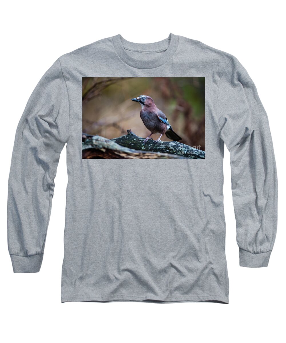 Jay Watch Long Sleeve T-Shirt featuring the photograph Jay watch by Torbjorn Swenelius