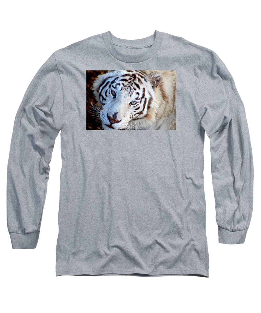 Tiger Long Sleeve T-Shirt featuring the photograph Just Call Me Gorgeous by Fiona Kennard