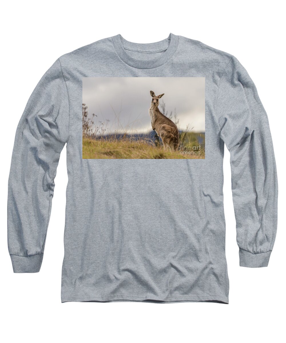 Fauna Long Sleeve T-Shirt featuring the photograph Kangaroo 2 by Werner Padarin