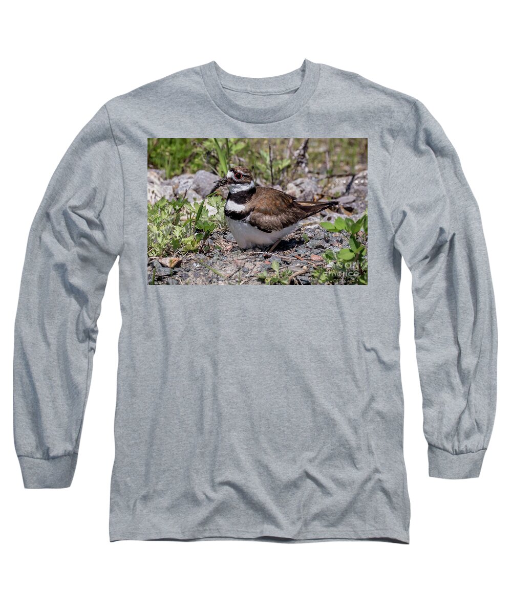 Female Long Sleeve T-Shirt featuring the photograph Killdeer on the Nest by Jim Gillen
