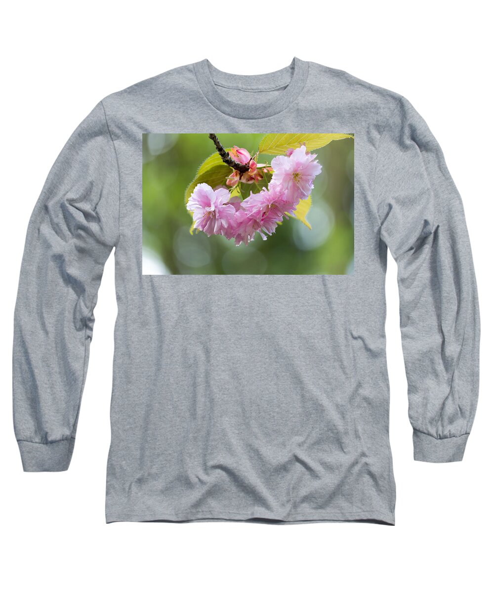 Prunus Serrulata Long Sleeve T-Shirt featuring the photograph Kwanzan Cherry Bossom Flowers Macro by David Gn