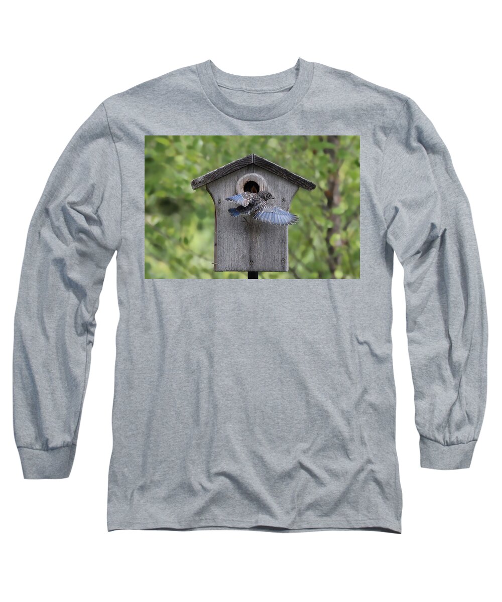 Bluebird Long Sleeve T-Shirt featuring the photograph Leaving Home by Jackson Pearson
