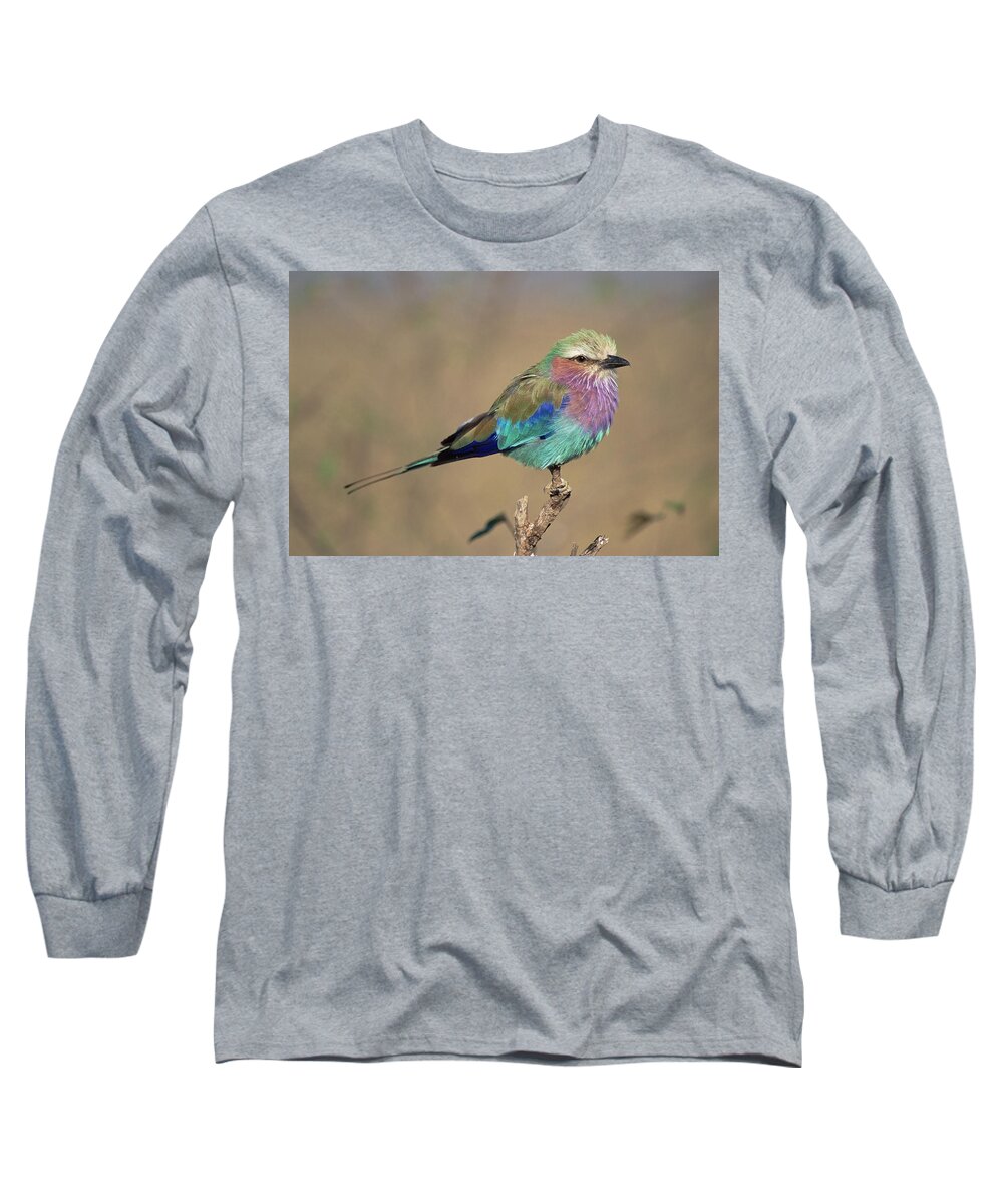 Mp Long Sleeve T-Shirt featuring the photograph Lilac-breasted Roller Coracias Caudata by Gerry Ellis