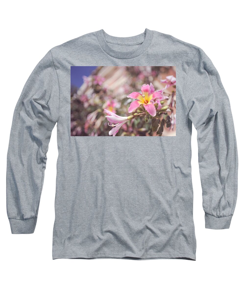 Pink Flowers Long Sleeve T-Shirt featuring the photograph Lily Tree. Flowers of Malaga by Jenny Rainbow