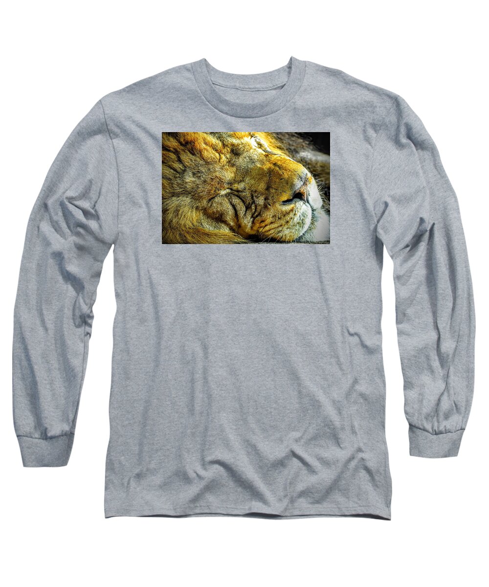 Lion Long Sleeve T-Shirt featuring the photograph Lion Around by Michael Brungardt