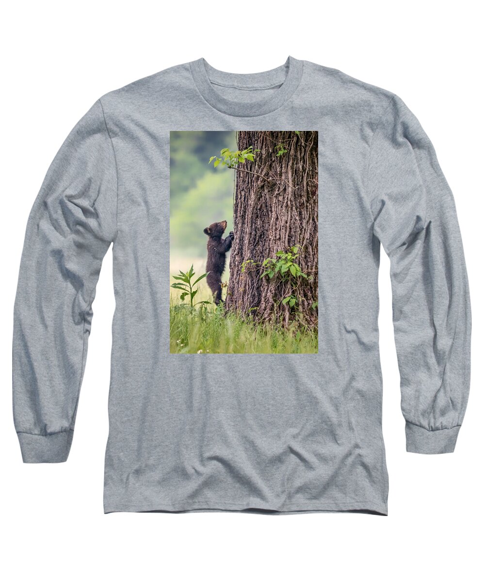 Blue Ridge Mountains Long Sleeve T-Shirt featuring the photograph Little Bear BIg Tree by Sylvia J Zarco