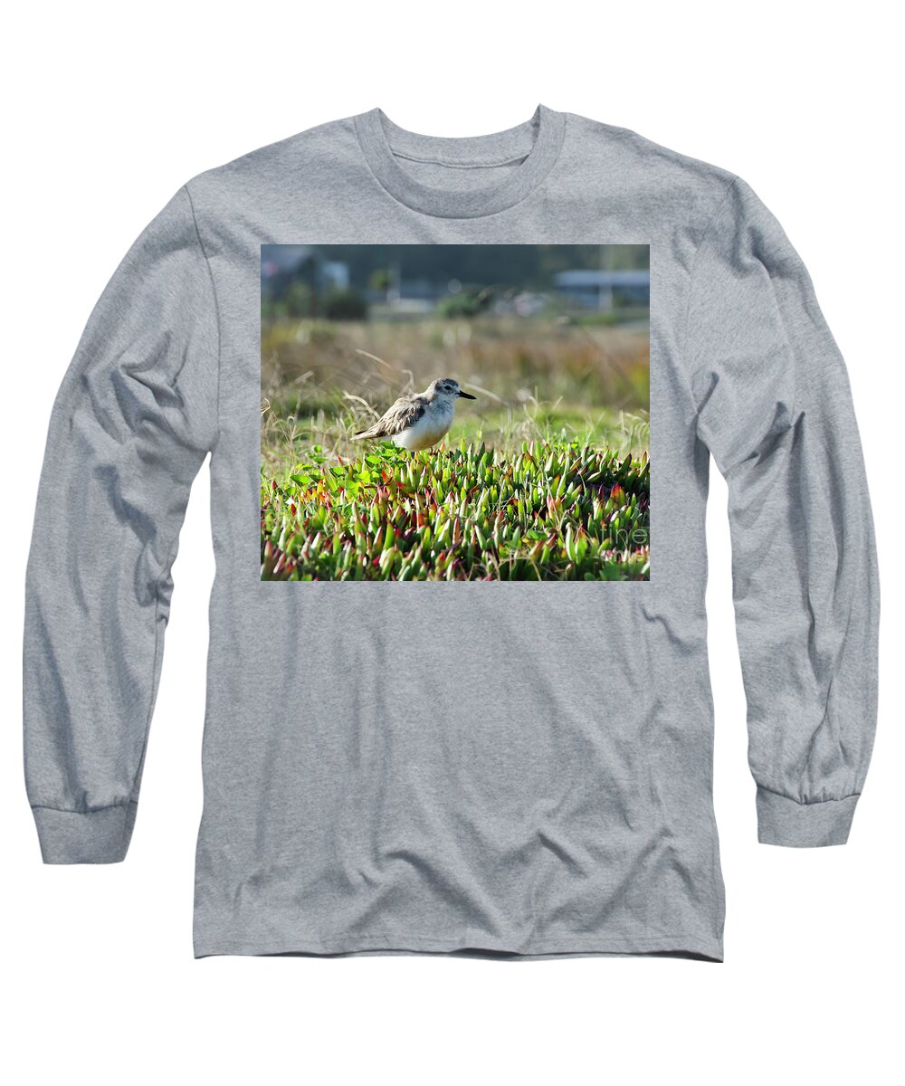 Bird Long Sleeve T-Shirt featuring the photograph Little bird by Yurix Sardinelly