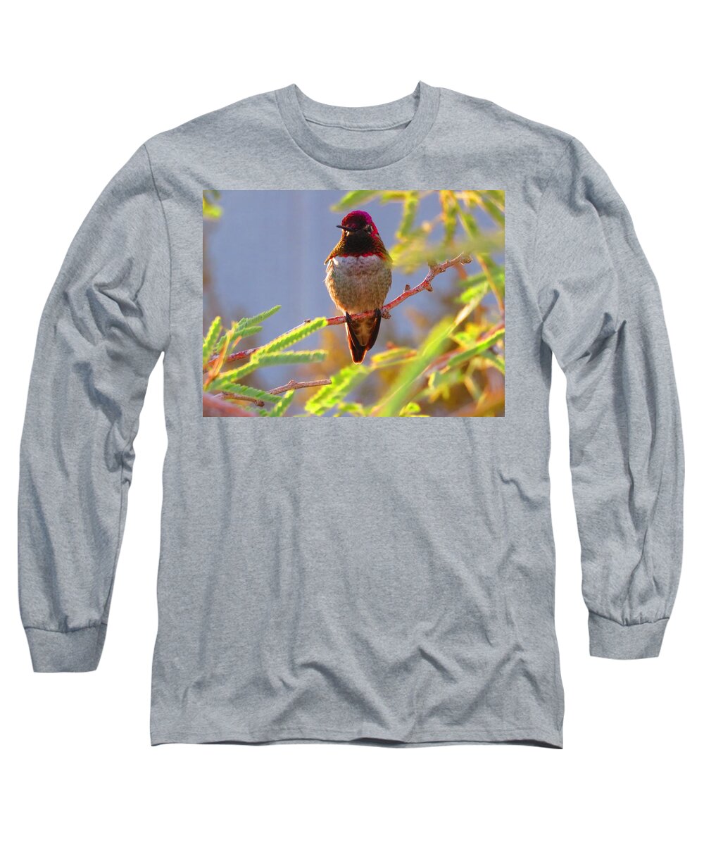 Arizona Long Sleeve T-Shirt featuring the photograph Little Jewel with Wings Fourth Version by Judy Kennedy