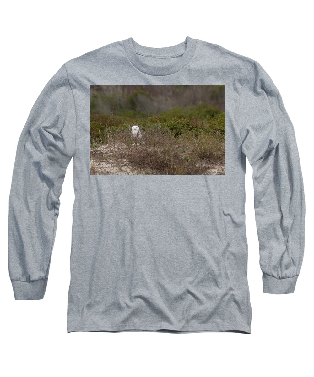 Snowy Owl Long Sleeve T-Shirt featuring the photograph Little Talbot Snowbird by Paul Rebmann