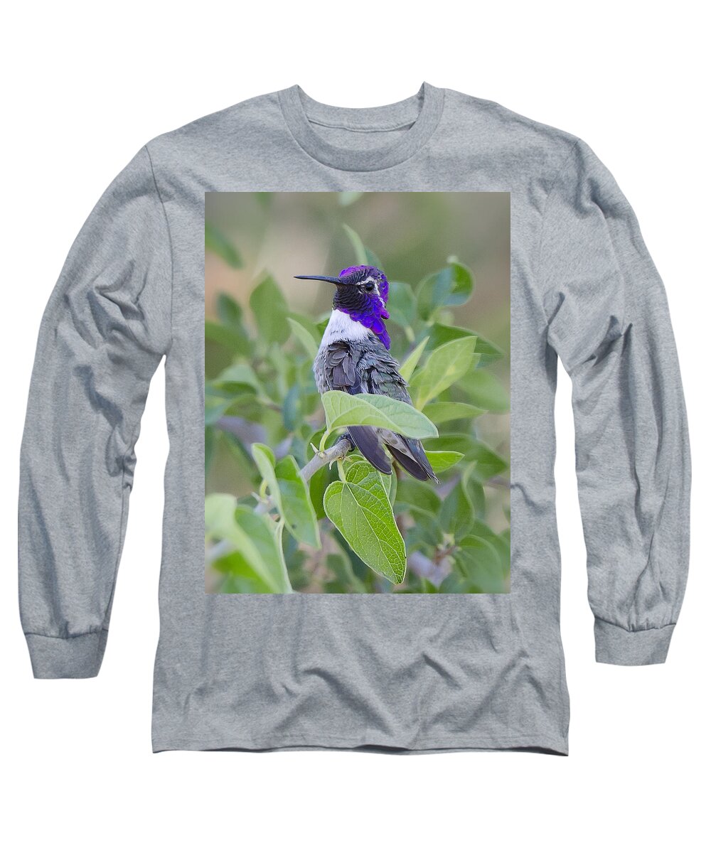 Costas Hummingbird Long Sleeve T-Shirt featuring the photograph Little Treasure by Saija Lehtonen