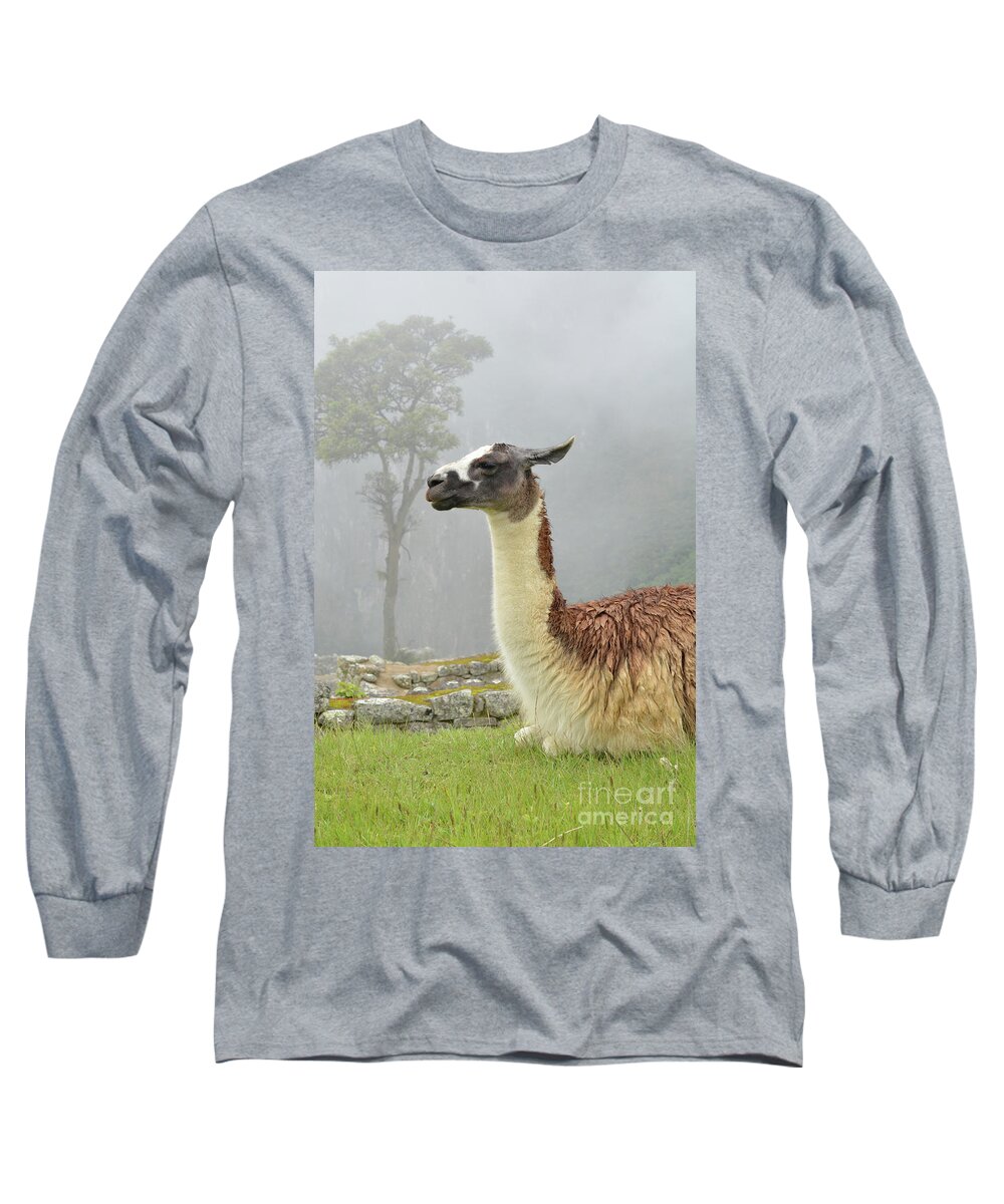 Llama Long Sleeve T-Shirt featuring the photograph Llama. Machu Picchu by Ksenia VanderHoff